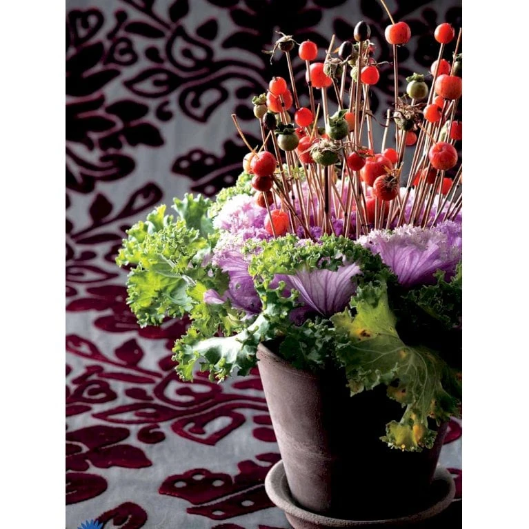 Broccoli 'Calabrese Natalino' Øko Brassica Oleracea 'Calabrese Natalino' Frøpose, Antal Pr. Pakke, Ca. 35 Stk. 9 Broccoli 'Calabrese Natalino' Øko Brassica Oleracea 'Calabrese Natalino' Frøpose, Antal Pr. Pakke, Ca. 35 Stk. - Billede 9