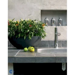 Chilipeber 'Lombardo' Capsicum Annuum 'Lombardo' Pose Med Frø Eller Løg, 5 10 Chilipeber 'Lombardo' Capsicum Annuum 'Lombardo' Pose Med Frø Eller Løg, 5 -Osmosite Butik fi918 capsicum annuum 24f5