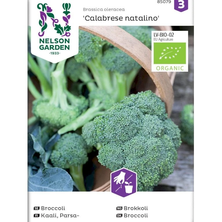 Broccoli 'Calabrese Natalino' Øko Brassica Oleracea 'Calabrese Natalino' Frøpose, Antal Pr. Pakke, Ca. 35 Stk. 1 Broccoli 'Calabrese Natalino' Øko Brassica Oleracea 'Calabrese Natalino' Frøpose, Antal Pr. Pakke, Ca. 35 Stk.