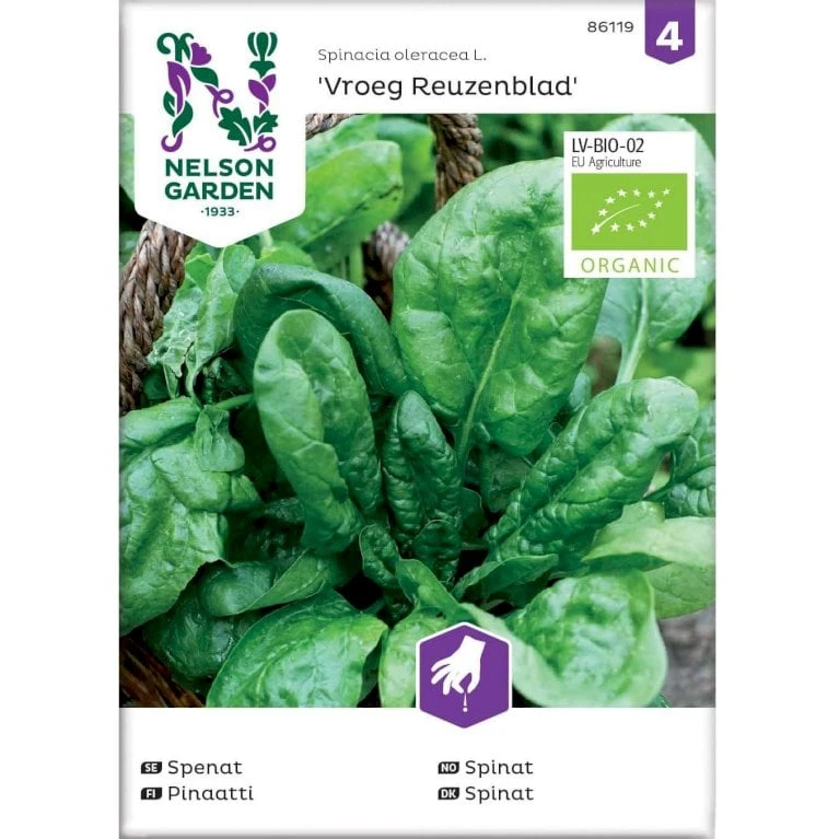 Spinat 'Vroeg Reuzenblad' Øko Spinacia Oleracea L. 'Vroeg Reuzenblad' Frøpose, Antal Pr. Pakke, Ca. 80 Stk. 1 Spinat 'Vroeg Reuzenblad' Øko Spinacia Oleracea L. 'Vroeg Reuzenblad' Frøpose, Antal Pr. Pakke, Ca. 80 Stk.