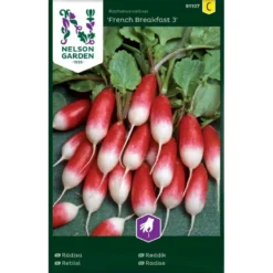 Radise 'French Breakfast 3' Raphanus Sativus 'French Breakfast 3' Pose Med Frø Eller Løg, 5