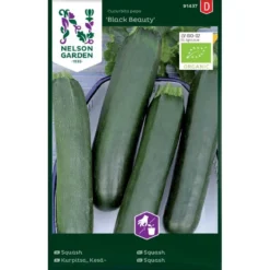 Squash 'Black Beauty' Øko Cucurbita Pepo 'Black Beauty' Pose Med Frø Eller Løg, 100