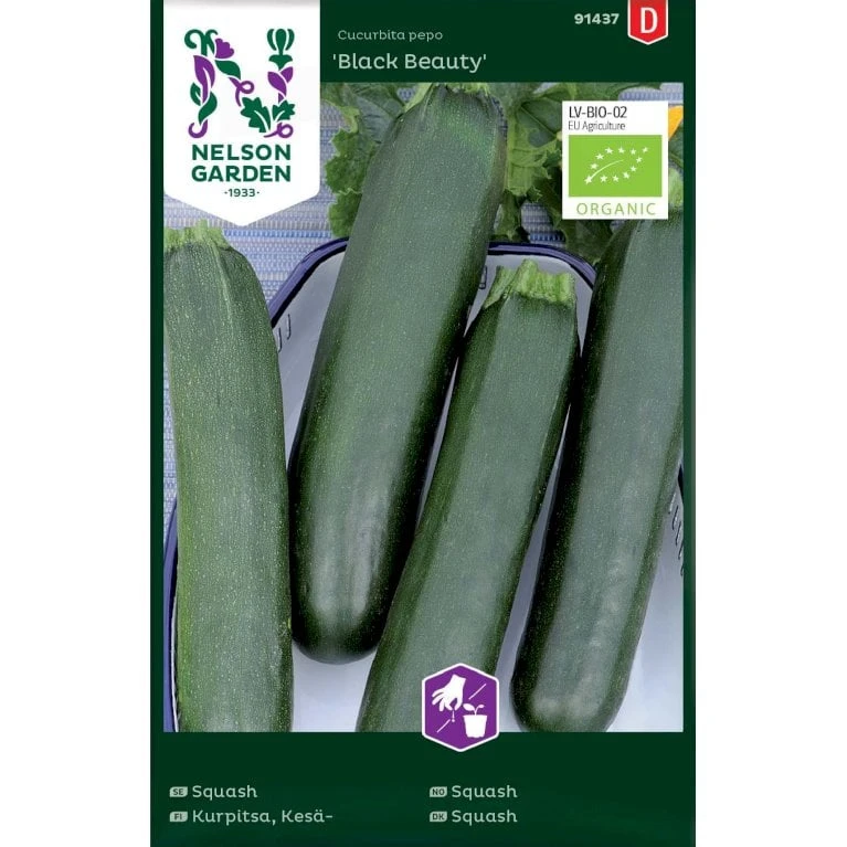 Squash 'Black Beauty' Øko Cucurbita Pepo 'Black Beauty' Pose Med Frø Eller Løg, 100 1 Squash 'Black Beauty' Øko Cucurbita Pepo 'Black Beauty' Pose Med Frø Eller Løg, 100