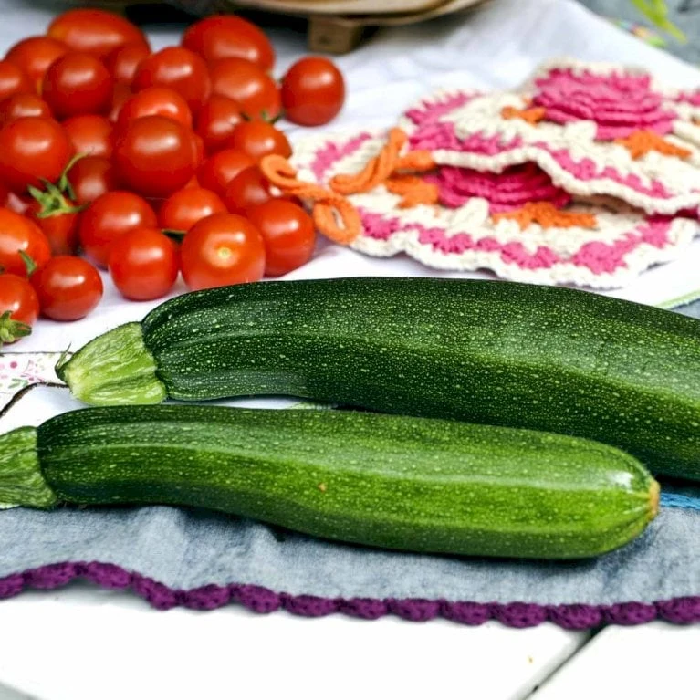 Squash 'Black Beauty' Øko Cucurbita Pepo 'Black Beauty' Pose Med Frø Eller Løg, 100 2 Squash 'Black Beauty' Øko Cucurbita Pepo 'Black Beauty' Pose Med Frø Eller Løg, 100 - Billede 2