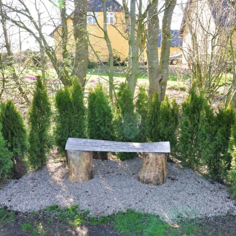 Hækthuja 'Smaragd' Thuja Occidentalis 'Smaragd' Med Klump, - 80-100 Cm 1 Hækthuja 'Smaragd' Thuja Occidentalis 'Smaragd' Med Klump, - 80-100 Cm