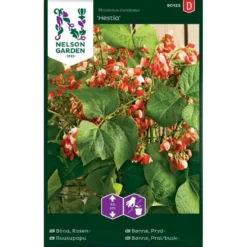 Pralbønne 'Hestia' Phaseolus Coccineus 'Hestia'