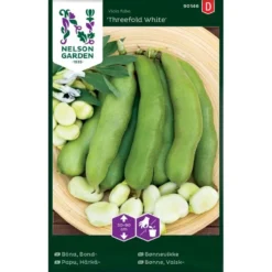 Valskbønne 'Threefold White' Vicia Faba 'Threefold White'