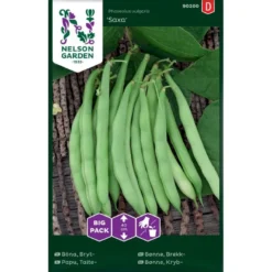Krybbønne 'Saxa' Big Pack Phaseolus Vulgaris 'Saxa'
