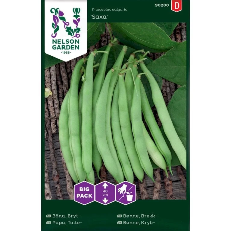 Krybbønne 'Saxa' Big Pack Phaseolus Vulgaris 'Saxa' 1 Krybbønne 'Saxa' Big Pack Phaseolus Vulgaris 'Saxa'