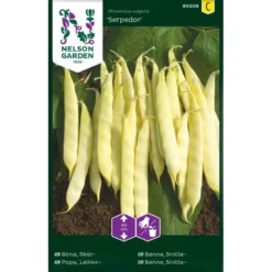 Snittebønne 'Serpedor' Phaseolus Vulgaris 'Serpedor'
