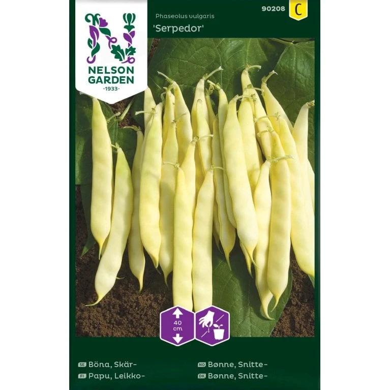 Snittebønne 'Serpedor' Phaseolus Vulgaris 'Serpedor' 1 Snittebønne 'Serpedor' Phaseolus Vulgaris 'Serpedor'