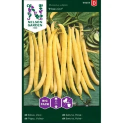 Voksbønne 'Maxidor' Big Pack Phaseolus Vulgaris 'Maxidor'