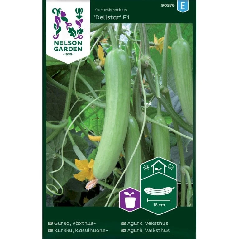 Drivhusagurk 'Delistar' F1 Cucumis Sativus 'Delistar' F1 1 Drivhusagurk 'Delistar' F1 Cucumis Sativus 'Delistar' F1