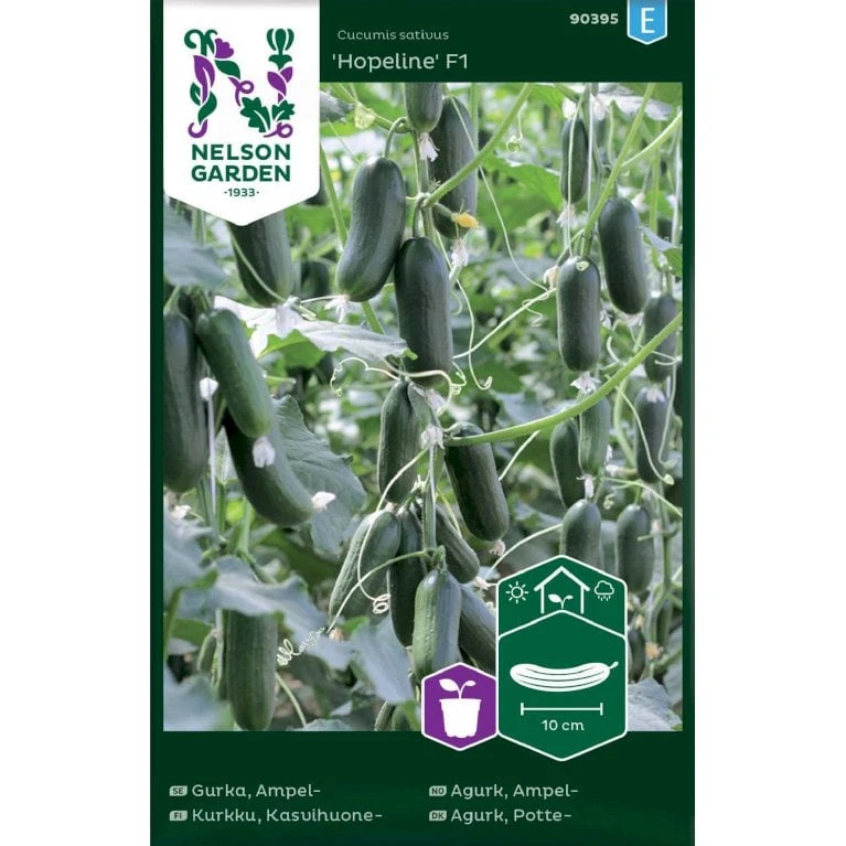 Miniagurk 'Hopeline' F1 Cucumis Sativus 'Hopeline' F1 1 Miniagurk 'Hopeline' F1 Cucumis Sativus 'Hopeline' F1