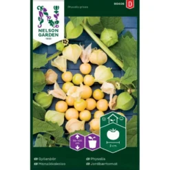 Ananaskirsebær Physalis Grisea