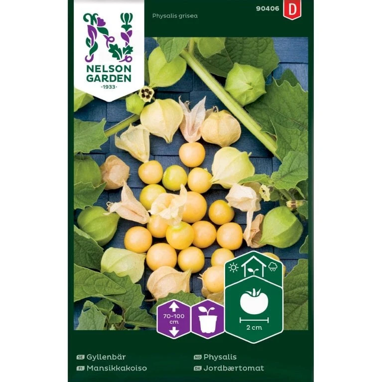 Ananaskirsebær Physalis Grisea 1 Ananaskirsebær Physalis Grisea