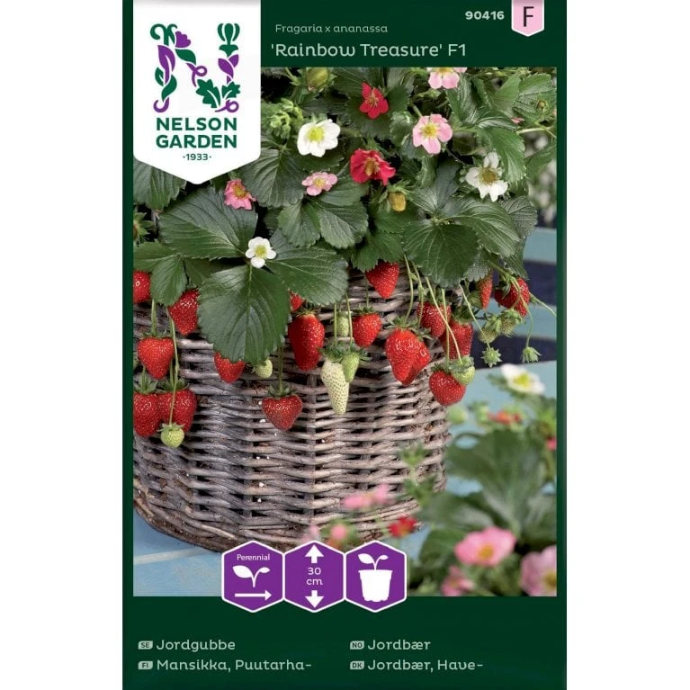 Jordbær 'Rainbow Treasure' F1 Fragaria X Ananassa 'Rainbow Treasure' F1 1 Jordbær 'Rainbow Treasure' F1 Fragaria X Ananassa 'Rainbow Treasure' F1