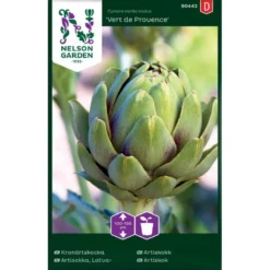 Artiskok 'Vert De Provence' Cynara Cardunculus 'Vert De Provence'