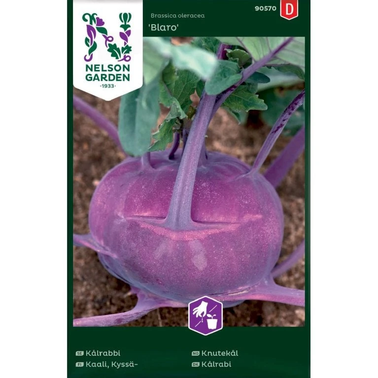 Kålrabi 'Blaro' Brassica Oleracea 'Blaro' 1 Kålrabi 'Blaro' Brassica Oleracea 'Blaro'