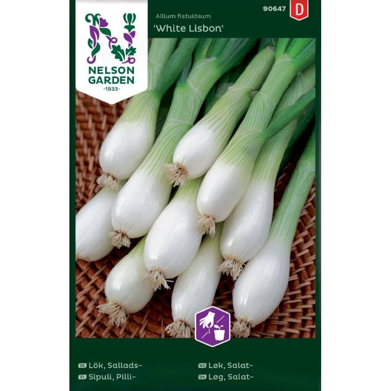 Forårsløg 'White Lisabon' Allium Cepa 'White Lisbon' 1 Forårsløg 'White Lisabon' Allium Cepa 'White Lisbon'