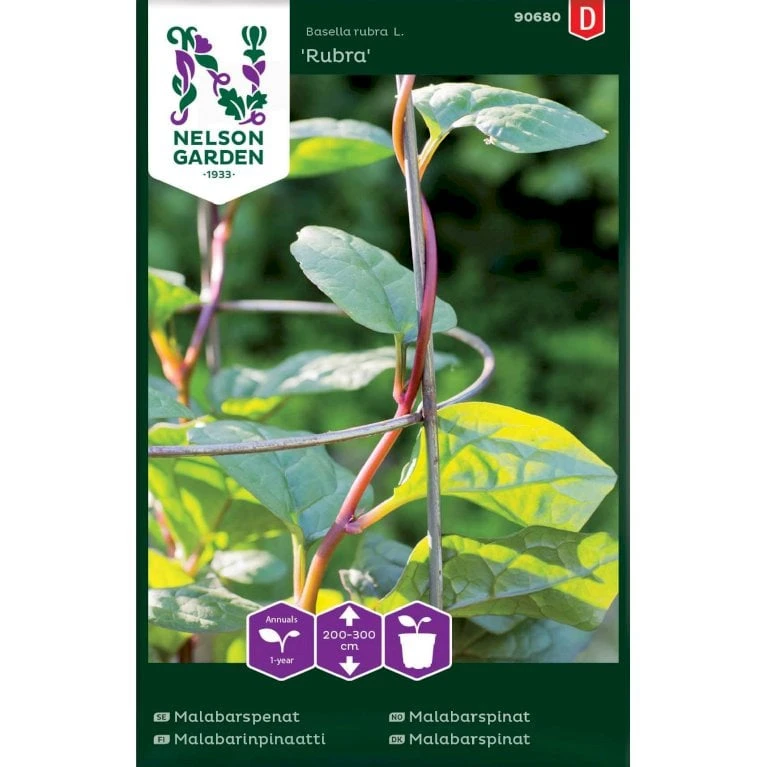 Malabarspinat 'Rubra' Basella Rubra L. 'Rubra' 1 Malabarspinat 'Rubra' Basella Rubra L. 'Rubra'