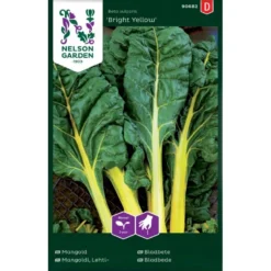 Bladbede 'Bright Yellow' F1 Beta Vulgaris 'Bright Yellow' F1