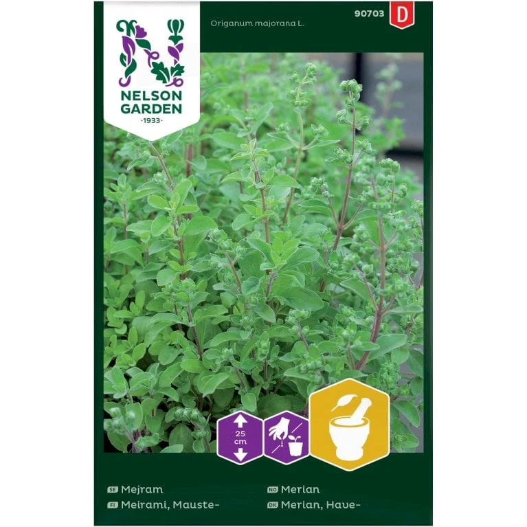 Osmo Merian Origanum Majorana L. 1 Osmo Merian Origanum Majorana L.