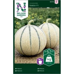 Melon 'Stellio' F1 Cucumis Melo 'Stellio' F1