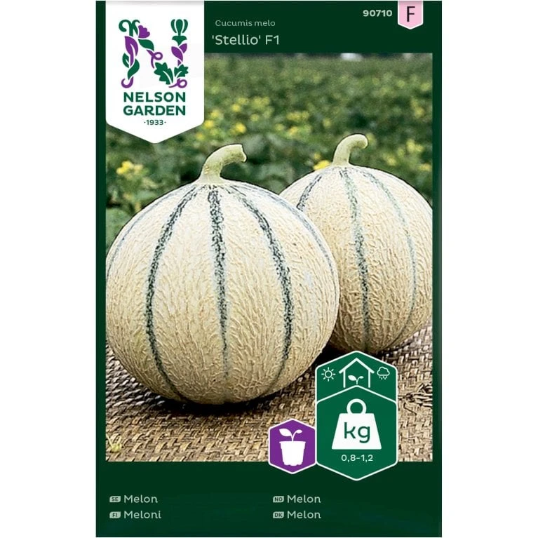 Melon 'Stellio' F1 Cucumis Melo 'Stellio' F1 1 Melon 'Stellio' F1 Cucumis Melo 'Stellio' F1