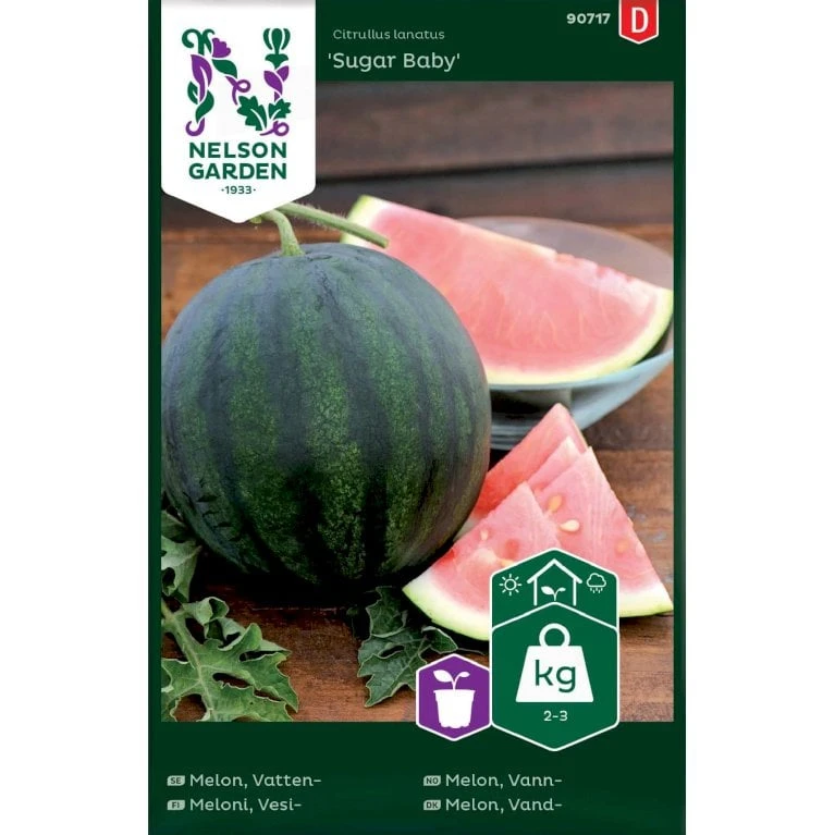 Vandmelon 'Sugar Baby' Citrullus Lanatus 'Sugar Baby' 1 Vandmelon 'Sugar Baby' Citrullus Lanatus 'Sugar Baby'