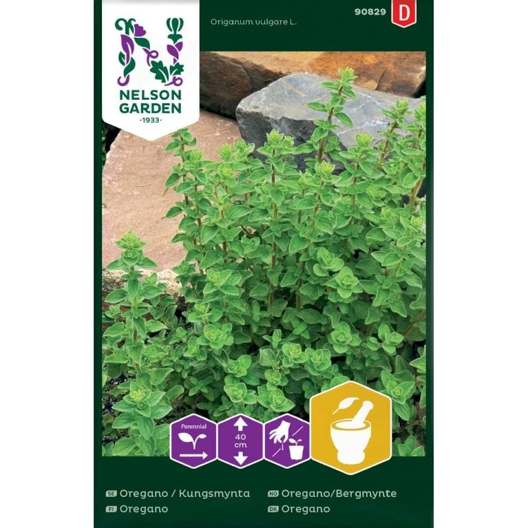 Vild Merian Origanum Vulgare L. 1 Vild Merian Origanum Vulgare L.