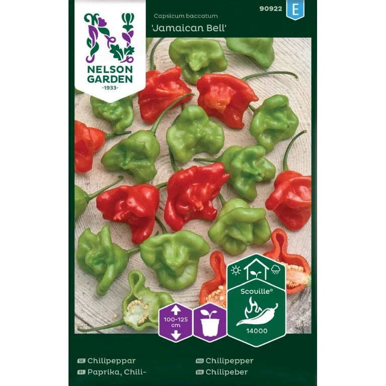 Ajíchili 'Jamaican Bell' Capsicum Baccatum 'Jamaican Bell' 1 Ajíchili 'Jamaican Bell' Capsicum Baccatum 'Jamaican Bell'