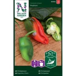 Chilipeber 'Padron' Capsicum Annuum 'Padron'