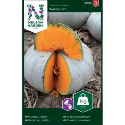 Centnergræskar 'Nelson' F1 Cucurbita Maxima 'Nelson' F1