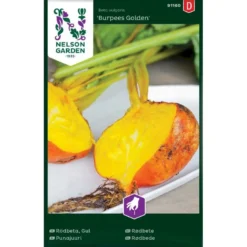 Rødbede 'Burpees Golden' Beta Vulgaris 'Burpees Golden'