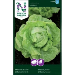 Hovedsalat 'Hilde II' Såbånd Lactuca Sativa 'Hilde II'