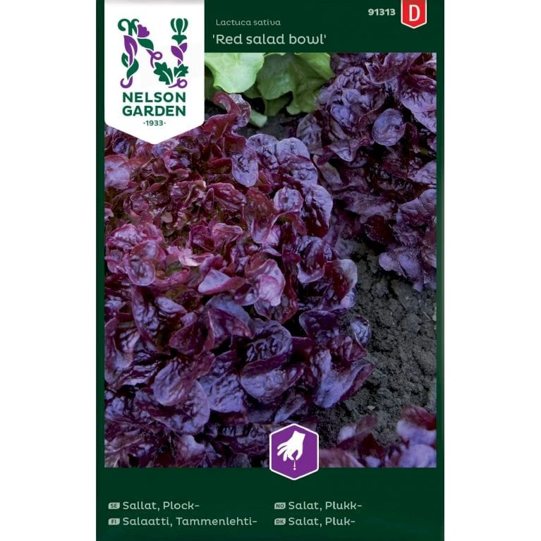 Pluksalat 'Red Salad Bowl' Lactuca Sativa 'Red Salad Bowl' 1 Pluksalat 'Red Salad Bowl' Lactuca Sativa 'Red Salad Bowl'