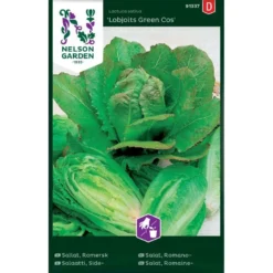 Romainesalat 'Lobjoits Green Cos' Lactuca Sativa 'Lobjoits Green Cos'