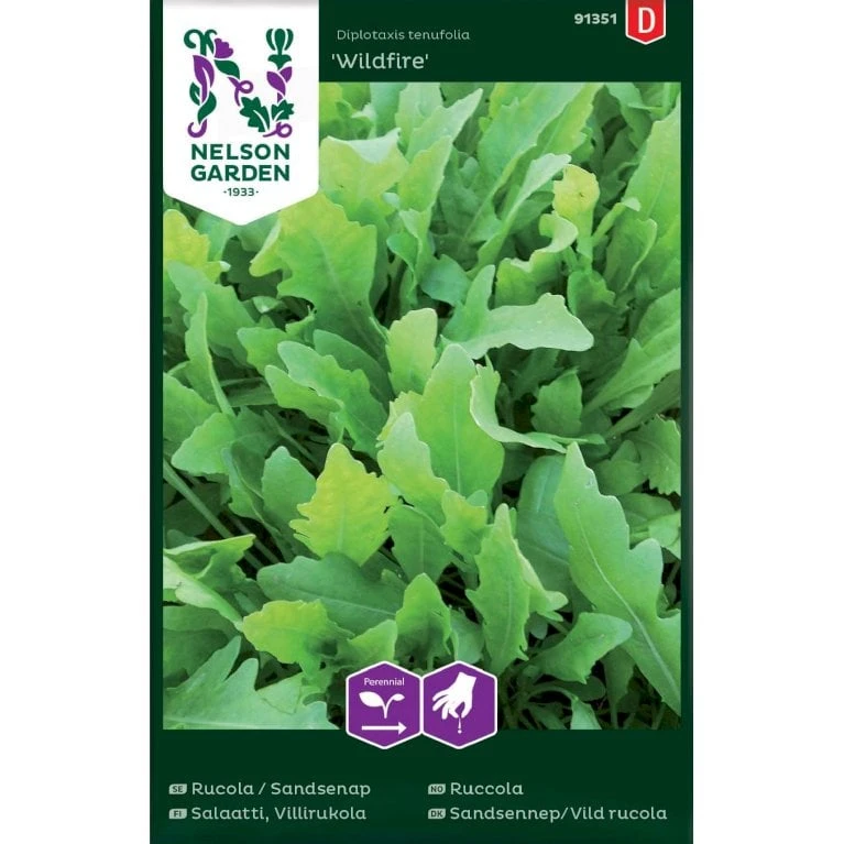 Vild Rucola 'Wildfire' Diplotaxis Tenufolia 'Wildfire' 1 Vild Rucola 'Wildfire' Diplotaxis Tenufolia 'Wildfire'
