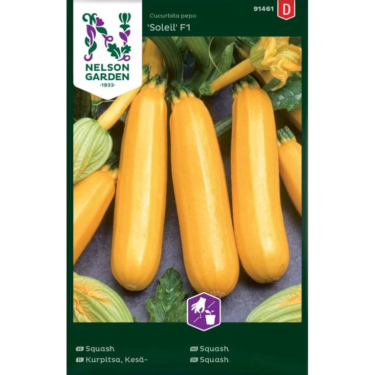 Squash 'Soleil' F1 Cucurbita Pepo 'Soleil' F1 1 Squash 'Soleil' F1 Cucurbita Pepo 'Soleil' F1