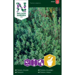 Timian Thymus Vulgaris L.