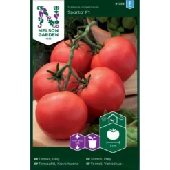 Tomat 'Sparta' F1 Solanum Lycopersicum 'Sparta' F1