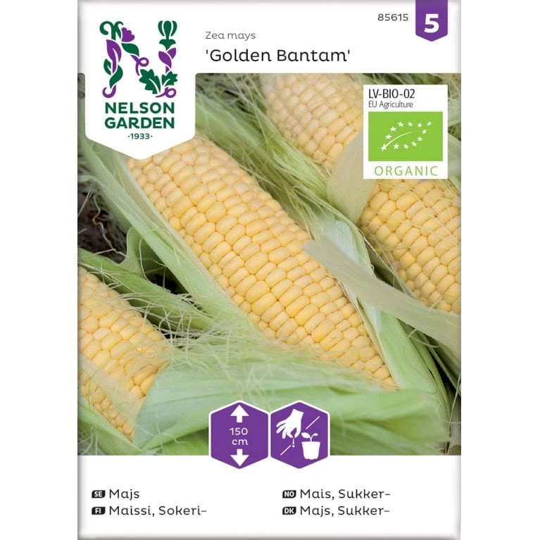 Sukkermajs 'Golden Bantam' Øko Zea Mays 'Golden Bantam' Frøpose, Antal Pr. Pakke, Ca. 10 Stk. 1 Sukkermajs 'Golden Bantam' Øko Zea Mays 'Golden Bantam' Frøpose, Antal Pr. Pakke, Ca. 10 Stk.