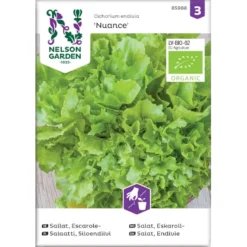 Salat 'Nuance' Øko Cichorium Endivia 'Nuance' Frøpose, Antal Pr. Pakke, Ca. 70 Stk.