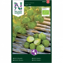 Rosenkål 'Igor' F1 Brassica Oleracea 'Igor' F1