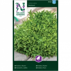 Pluksalat 'Skilton' Lactuca Sativa 'Skilton'