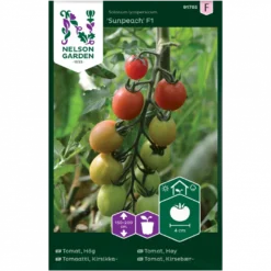 Kirsebærtomat 'Sunpeach' F1 Solanum Lycopersicum 'Sunpeach' F1