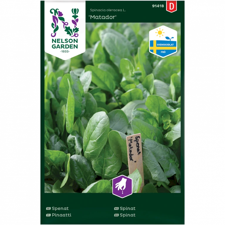 Spinat 'Matador' Spinacia Oleracea L. 'Matador' 1 Spinat 'Matador' Spinacia Oleracea L. 'Matador'