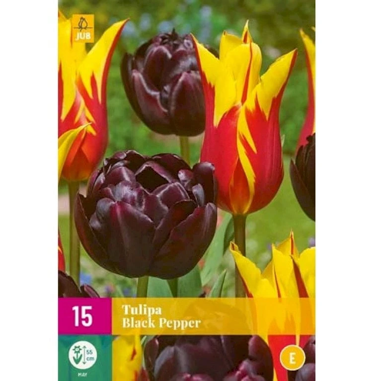 Tulipan 'Black Pepper' Mix XXL Tulips 'Black Pepper' Mix Blomsterløg, Antal Pr. Pakke, Ca. 15 Stk. 1 Tulipan 'Black Pepper' Mix XXL Tulips 'Black Pepper' Mix Blomsterløg, Antal Pr. Pakke, Ca. 15 Stk.