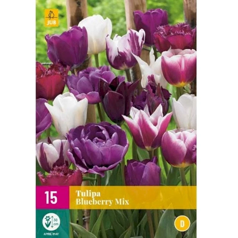 Tulipan 'Blueberry' Mix XXL Tulips 'Blueberry' Mix Blomsterløg, Antal Pr. Pakke, Ca. 15 Stk. 1 Tulipan 'Blueberry' Mix XXL Tulips 'Blueberry' Mix Blomsterløg, Antal Pr. Pakke, Ca. 15 Stk.